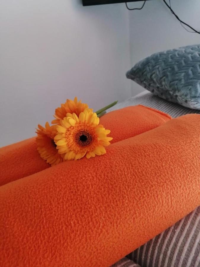 Apartman Radic Трогир Экстерьер фото